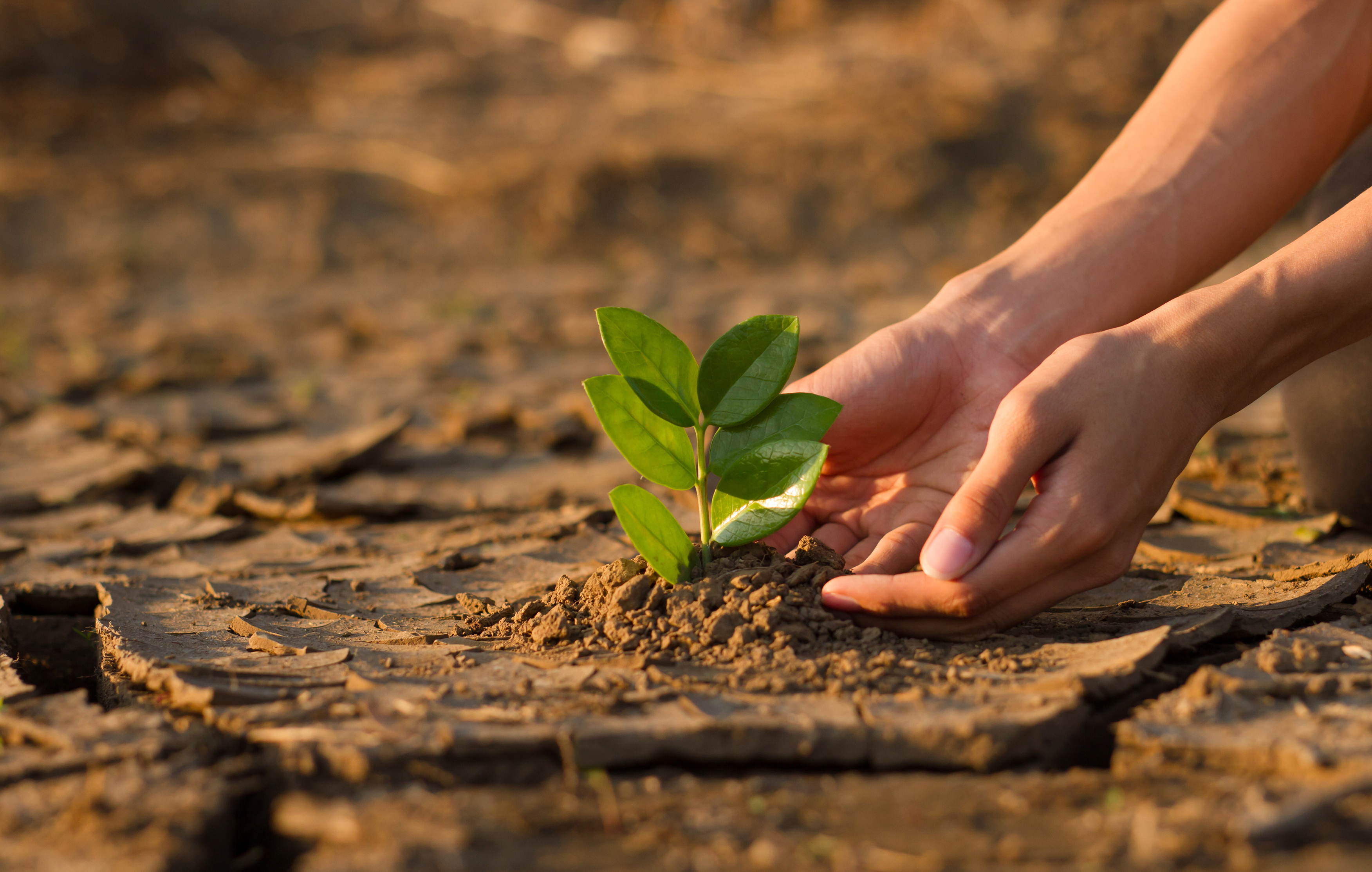 Climate Change: A Crisis Demanding More Resources